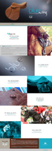 Homepage Voltaire Design