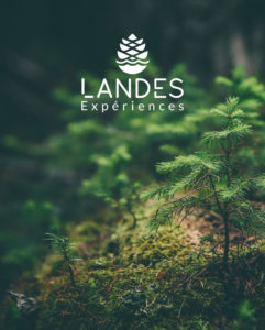 landes-experiences